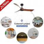 6 Speeds Remote Control Plastic Decorative Ceiling Fan Without Light