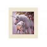 Stock Horse Image 5D Pictures Lenticular Photo Printing PET/PP Lenticular Printing