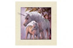 China Stock Horse Image 5D Pictures Lenticular Photo Printing PET/PP Lenticular Printing supplier