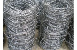 China 2.8mm 500mm Diamond Razor Wire Fence Barbed Coil Fencing supplier