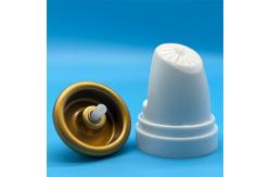China Hair Mousse Aerosol Pump for Curly Hair - Defined Curls, Smooth Application supplier