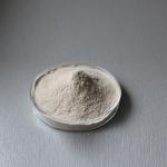 2000u/G-4000u/G Pancreatin Protease Providing Enzyme Preparation Sample Testing for sale