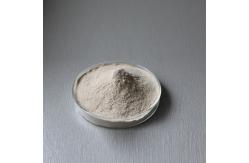 China 2000u/G-4000u/G Pancreatin Protease Providing Enzyme Preparation Sample Testing supplier