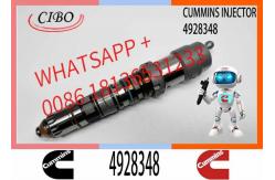 China Q19 Diesel Engine Common Rail Injector 4087888 4087889 4928348 4010025 4928345 4928346 supplier