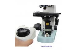 China CFI Optical System Compound Optical Microscope A12.0705 For Laboratory supplier