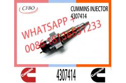 China Diesel Parts Fuel Injector 4307414 4359204 For Dongfeng Foton Cummins supplier