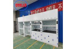 China Microcomputer Control Chemical Fume Hood With Scrubber LED Lighting supplier