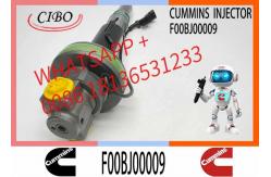 China Engineering Machinery QSK19 Truck Engine System Accessories F00BJ00009 Diesel Fuel Injector supplier