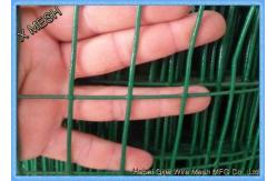 China Electric Galvanized Welded Wire Mesh 0.8mm Wire Thickness*1.5m Height supplier