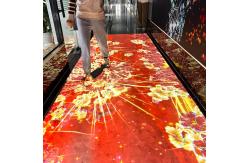 China High Definition Picture Holographic Floor Interactive Projection supplier