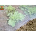 HDPE Material Agricultural Insect Netting 16 Mesh White Color Light Weight for sale