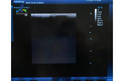 China Mindray L14-6NE Ultrasound Transducer Probe Replace Crystal Array For Endocavity supplier