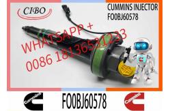 China Fuel Injector Assembly Y431K05246 FO0BJ60578 FOOBJ60783 1000019903 For Qsk19 Engine supplier