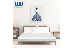 China Biopreferred Dual Layer Memory Foam Mattress Topper For Pressure Relief supplier