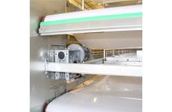 China Multi Level Power Automatic Layer Poultry Equipment For Manure Cleaning supplier