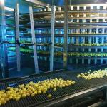                  Bread Cooling Tower Spiral Cooling Tower              for sale