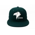 High quality Custom Made eagle printing Logo Printed Hip Hop Snapback Hats Caps for sale