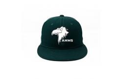 China High quality Custom Made eagle printing Logo Printed Hip Hop Snapback Hats Caps supplier