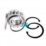 Spherical Cylindrical Roller Bearing RSL182207 35X63.97X23mm for sale