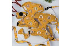 China Reversible Small Dog Harness And Leash Set Luxury Fashion Dog Walk Set supplier