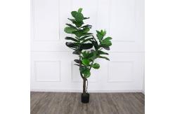 China 120cm 160cm Artificial Ficus Lyrata House Floor Plants Evergreen Refreshing Plants supplier