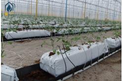 China Rectangular Hydroponic Soilless Growing Trough PP Roll Drainage Gutter System Planting supplier