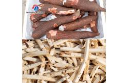 China 1500KG/H Vegetable Processing Machine French Fries Potato Stick Cutter supplier