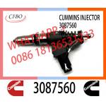 Cummis N14 Fuel Injector 4307795 3087733 3095086 3411691 3411759 3411764 3411765 3411766 4307516 3083846 3087560 for sale