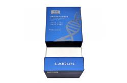 China Customizable Logo Printing Essential Oil Rigid Carton with Removable Lid and Dividers supplier