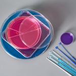 Disposable Microbiology Plastic 1ul 10ul Inoculating Loop With Needle Cell Scraper