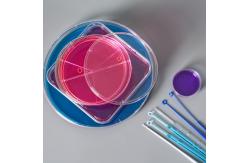 China Disposable Microbiology Plastic 1ul 10ul Inoculating Loop With Needle Cell Scraper supplier