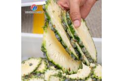 China 1.5KW 150KG Multi-function sweet potato, radish, melon and fruit slicing machine supplier