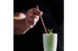 China Sugarcane Bagasse Disposable Drinking Straw 20cm Length Compostable and Biodegradable supplier