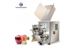 China Guava Fixed Material Socket Fruit And Vegetable Peeler Machine Electric 304 SS Apple supplier