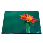 BOE GV101WXM-N81 10.1 Inch TFT LCD Module Normally Black Brightness 250 Nit EDP Interface for sale