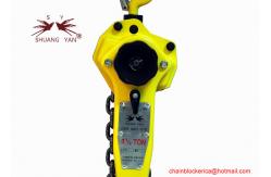 China Portable Hand Lever Chain Hoist 1.5T*1.5M Multi Purpose supplier