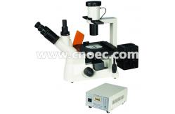 China Inverted 40x - 400x Fluorescence Microscope With Mercury Lamp A16.1102 supplier