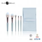 5pcs Mini Makeup Brush Gift Set Plastic Handle Cosmetic Case With Nylon Hair for sale