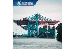 China Global DDP International Freight Forwarder From China To USA Australia FBA supplier