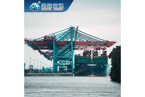 Global DDP International Freight Forwarder From China To USA Australia FBA