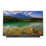 12.5 Inch LQ125T1JW02 1920*7080 TFT LCD Display Module For Laptop for sale