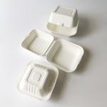Eco-friendly customized fast food burger box with biodegradable clam shell
