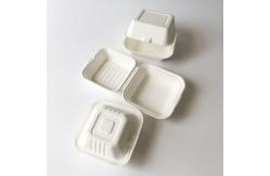 China Eco-friendly customized fast food burger box with biodegradable clam shell supplier