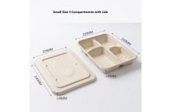 China Cornstarch Lunch Compartment Food Container Biodegradable Disposable supplier