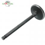 EXHAUST VALVE 32A0421100 32A04-21100 for S4S Engine