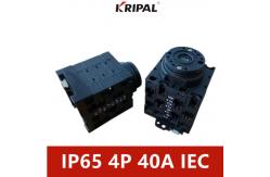 China Three Phase IP65 Manual Changeover Switch IEC standard 32A 40A supplier