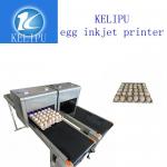 Batch Number Egg Industrial Digital Printing Machines With High Efficient for sale