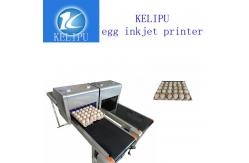 China Batch Number Egg Industrial Digital Printing Machines With High Efficient supplier