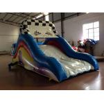 Small Size Inflatable Dry Slide 5-7 Children Capacity / Kids Bouncy Castle With Slide for sale