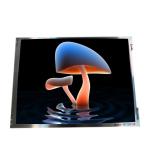 Industry TFT LCD Module 10.4 Inch BA104S01-100 800×600 BOE Display for sale